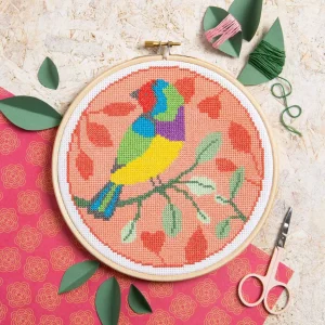 Rainbow Finch Cross Stitch