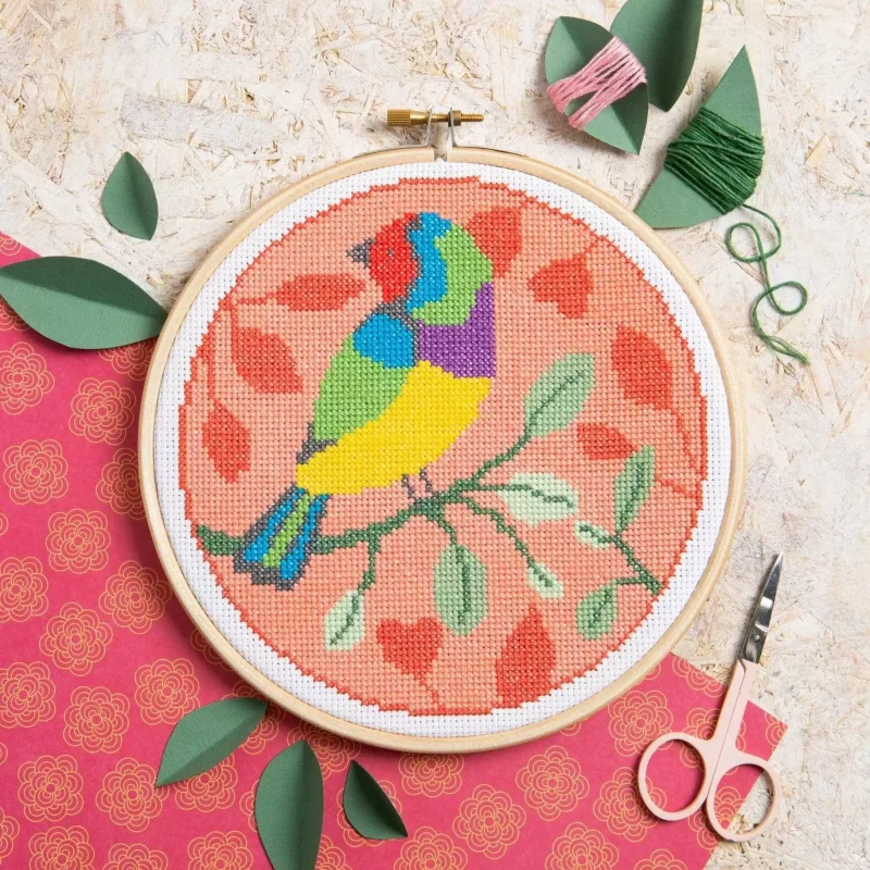 Rainbow Finch Cross Stitch 01